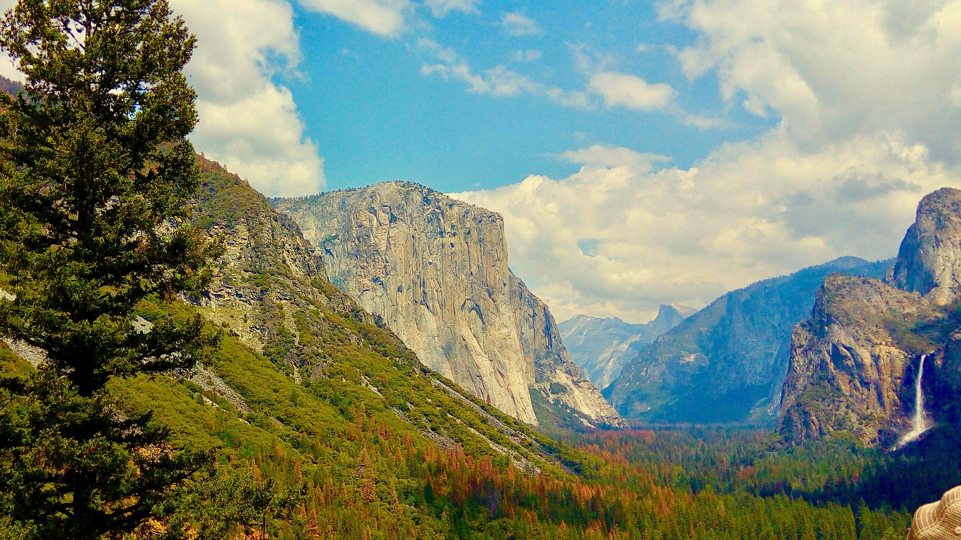 What Does Alex Honnold’s Incredible Free Solo of El Capitan Have to do With Real Estate? It Has to do With Risk.