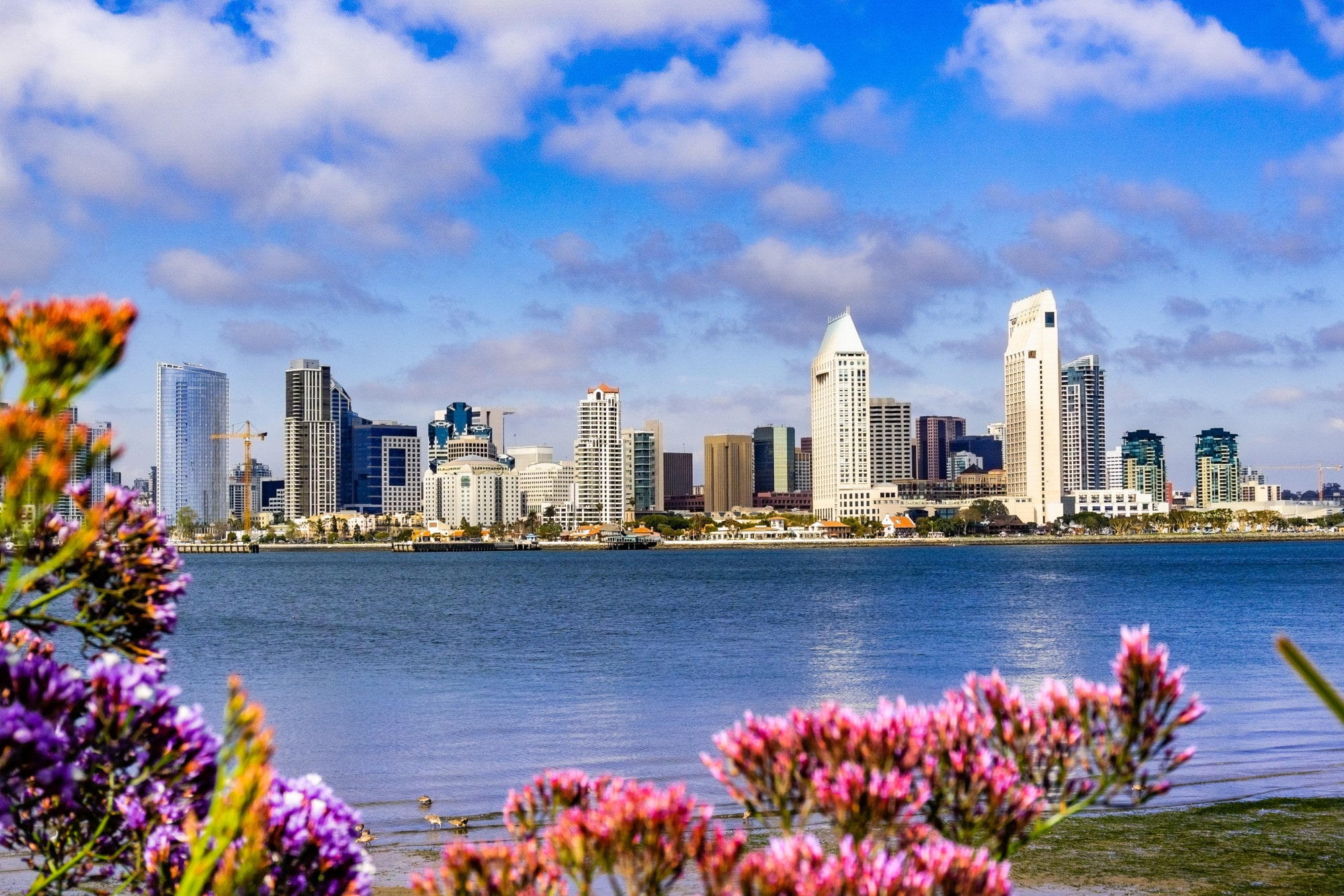 What Factors Impact Rental Valuation in San Diego?